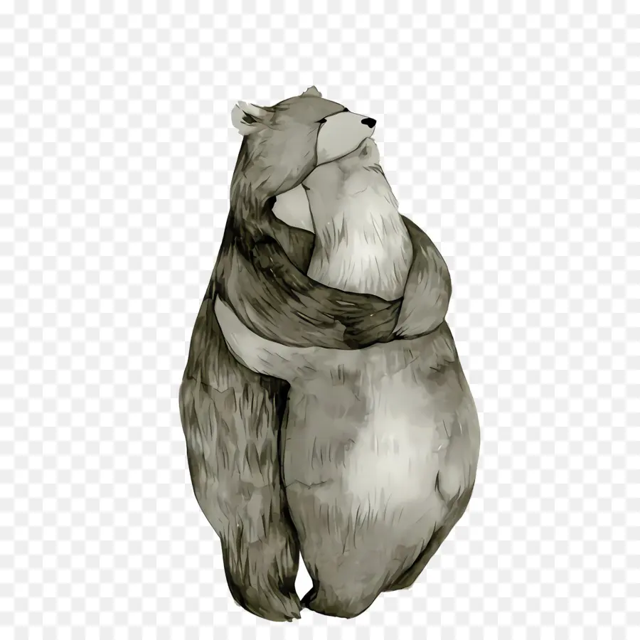 логотип медведь，логотип несет PNG