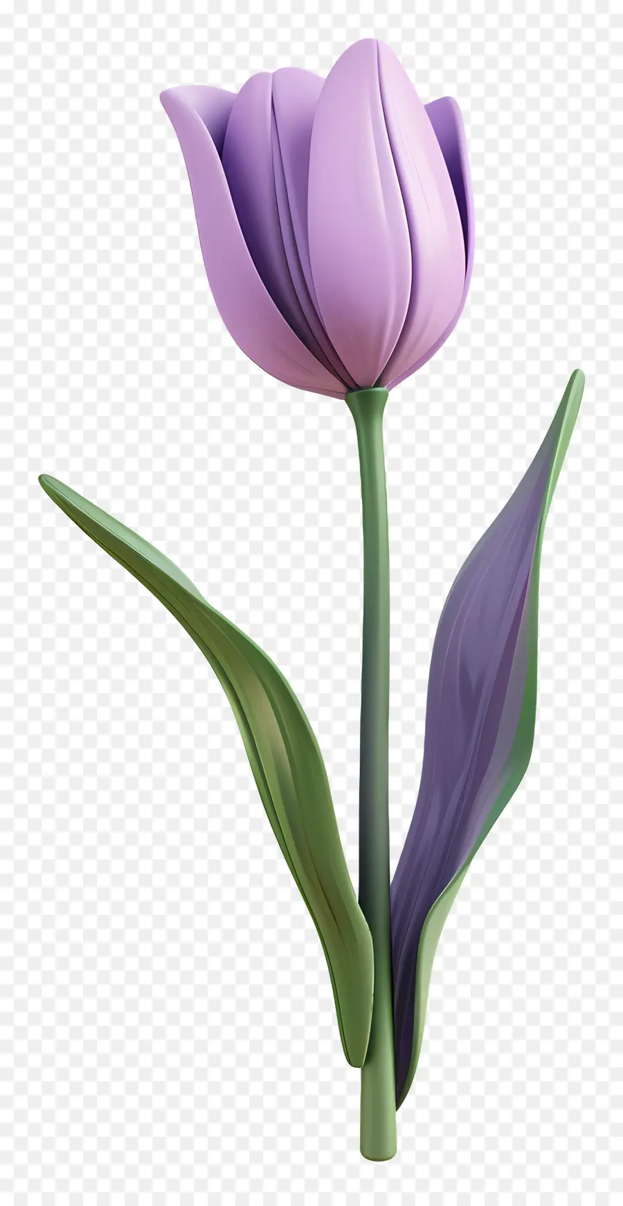 фиолетовый тюльпан，цветок PNG