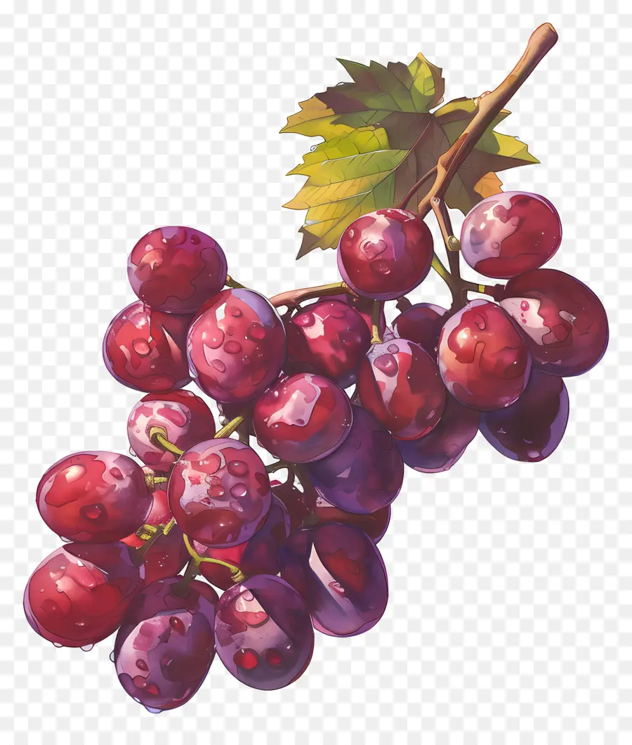 красный виноград，Лоза PNG