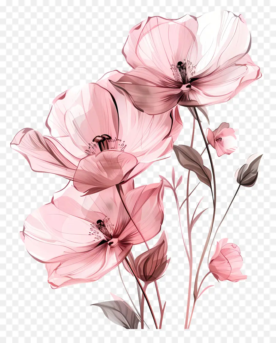 Розовые цветы，букет PNG