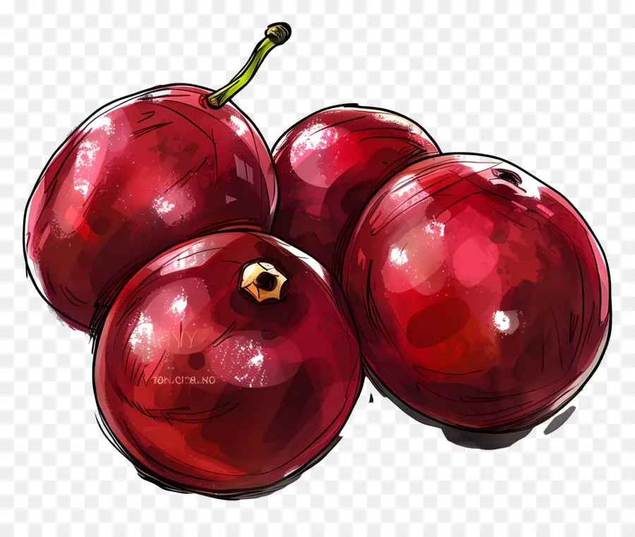 Cranberries，Вишенки PNG