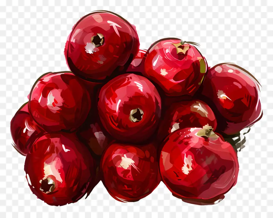 Cranberries，красные яблоки PNG