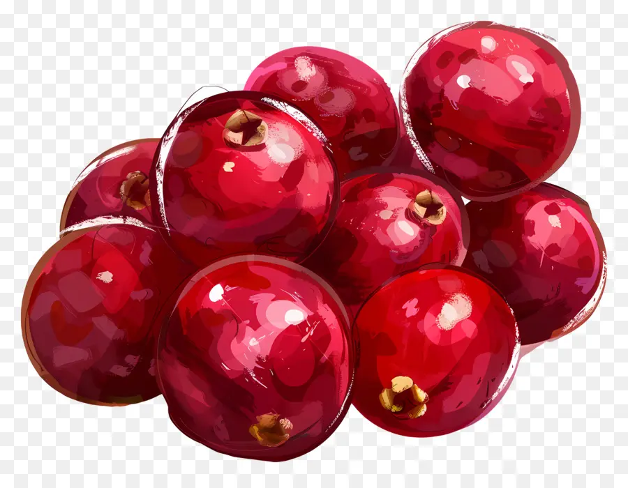 Cranberries，красный PNG
