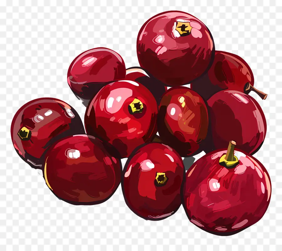 Cranberries，красные ягоды PNG