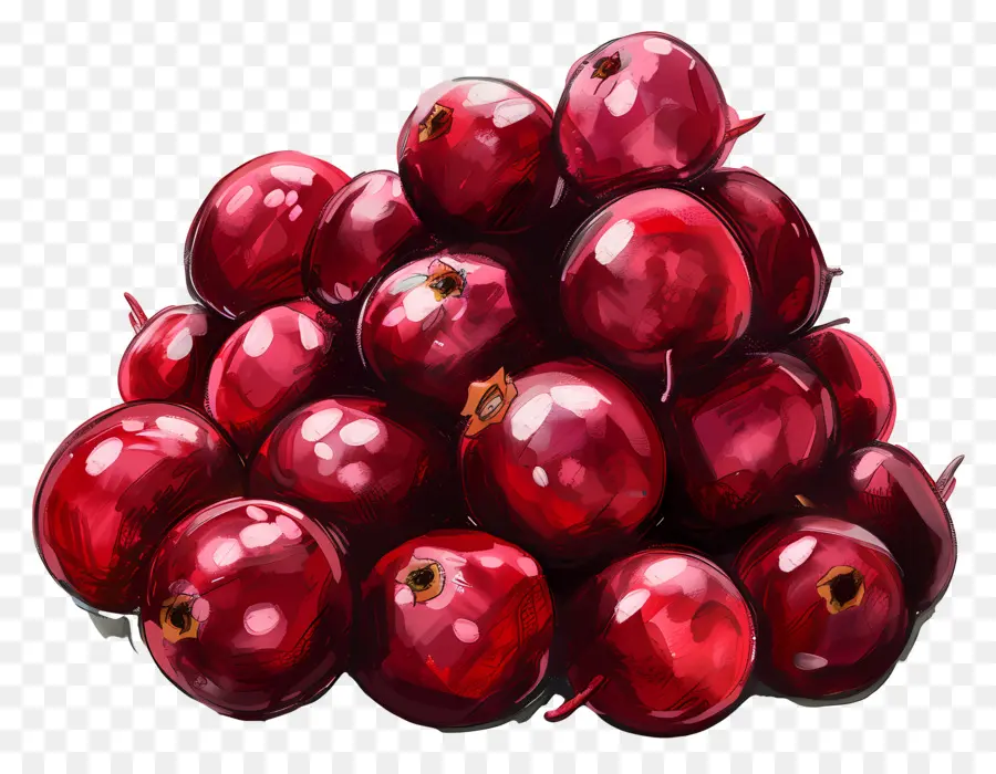 Cranberries，красный PNG