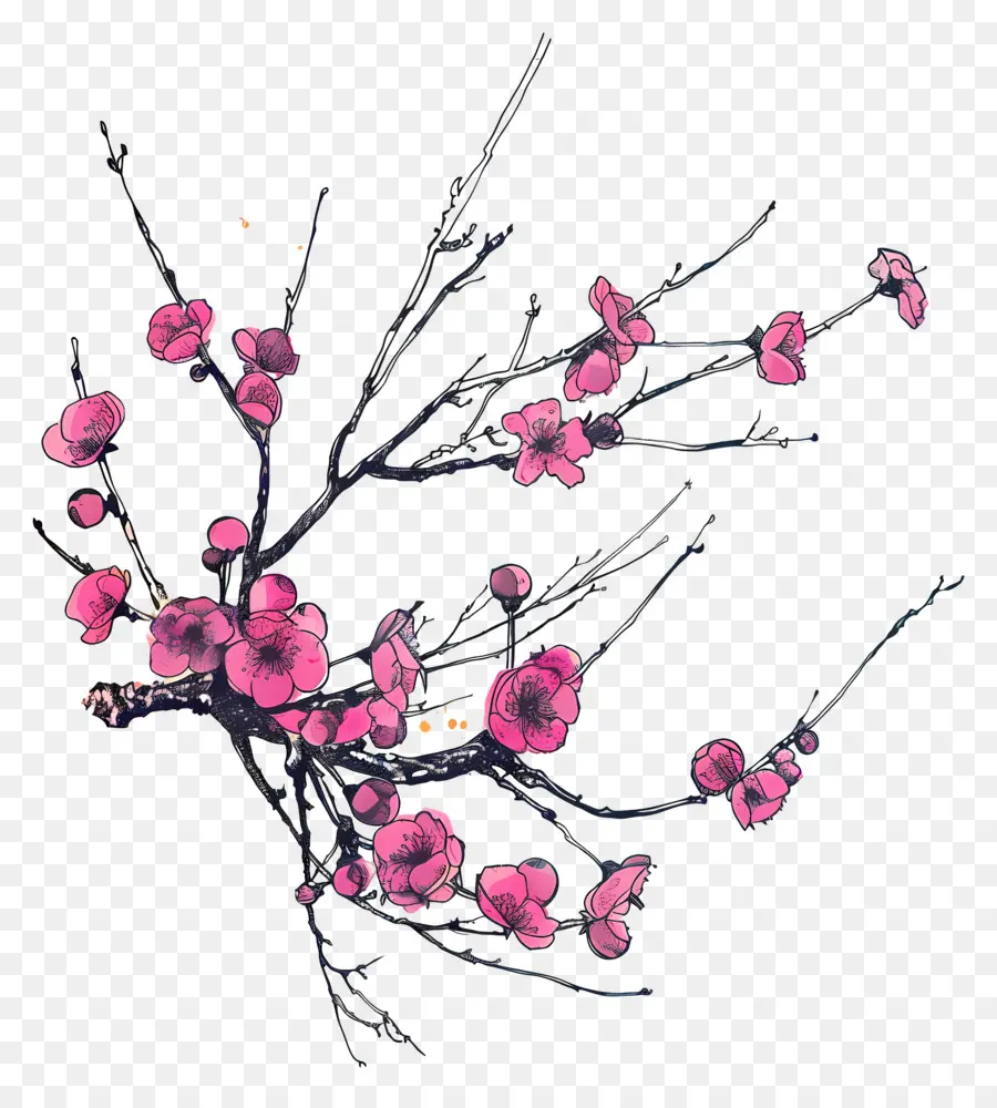 цветущая ветвь вишневого дерева，Вишни PNG