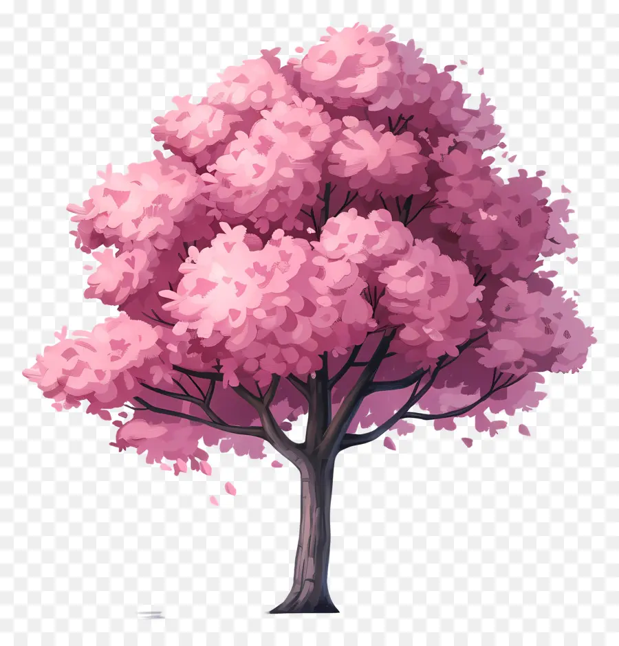 Вишневое дерево，розовый PNG