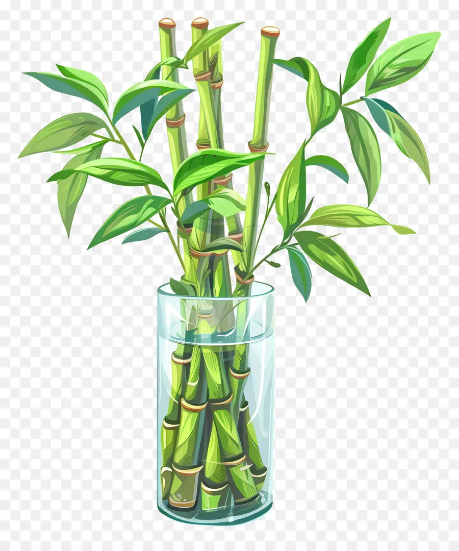 Счастливый бамбук，ясная стеклянная ваза PNG