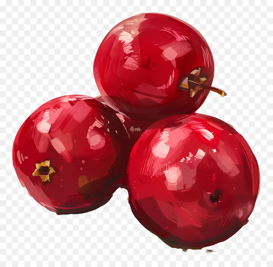 Cranberries，красный виноград PNG