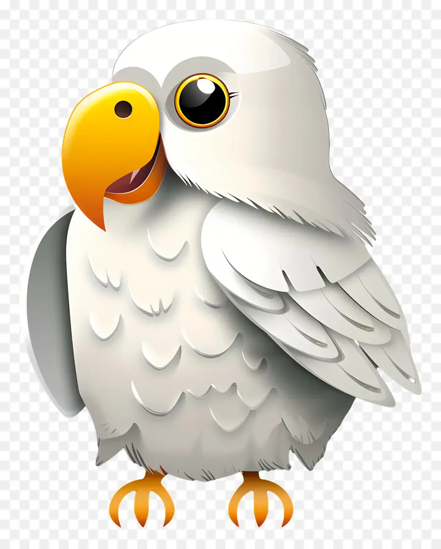 Удивительная икона，Птица PNG