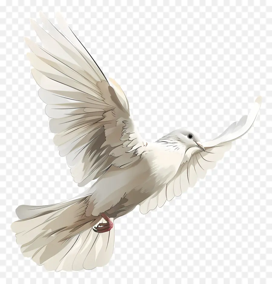 Dove，птица в полете PNG