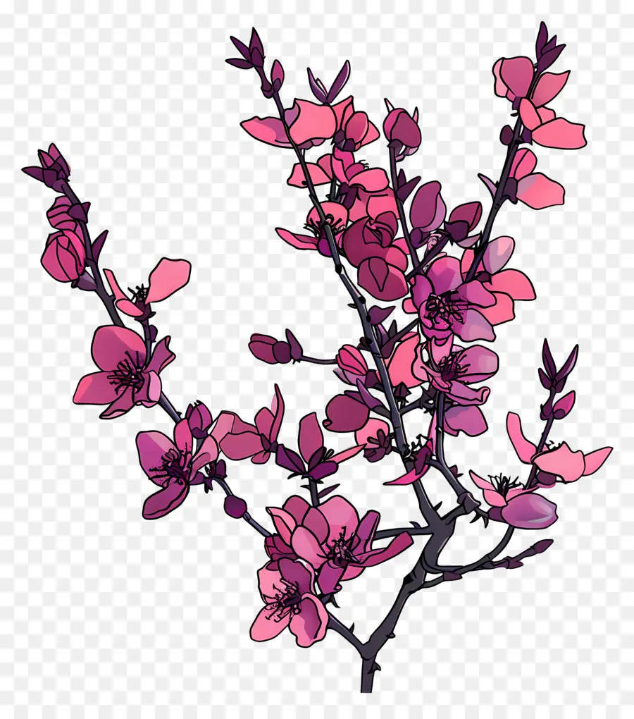 китайский редбад，Розовые цветы PNG