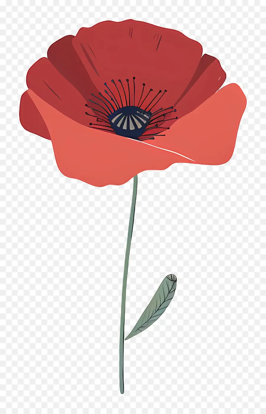 Мы не забудем，цветок мака PNG