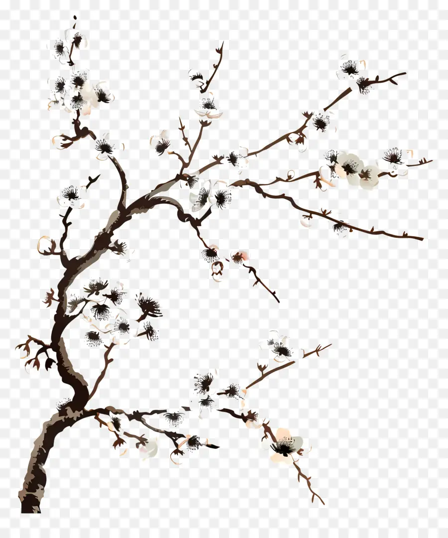 цветущая ветвь вишневого дерева，Цветочная ветвь дерева PNG