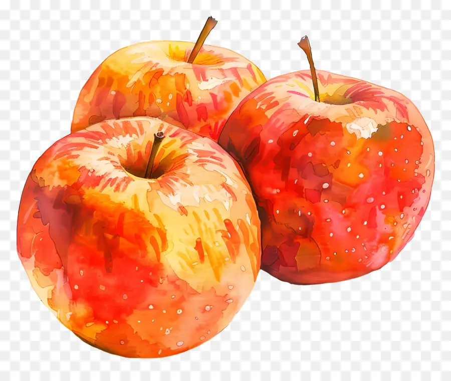 Гала яблоки，акварельная живопись PNG
