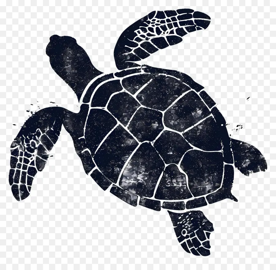 Черепаха Силуэт，черепаха PNG