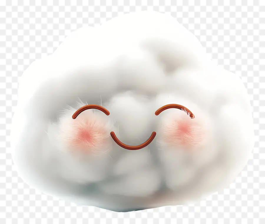 3d мультипликационная пушина，Smiley Face Cloud PNG