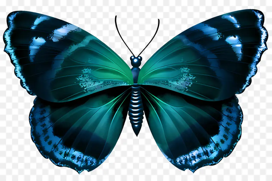 бабочки，Бабочка PNG