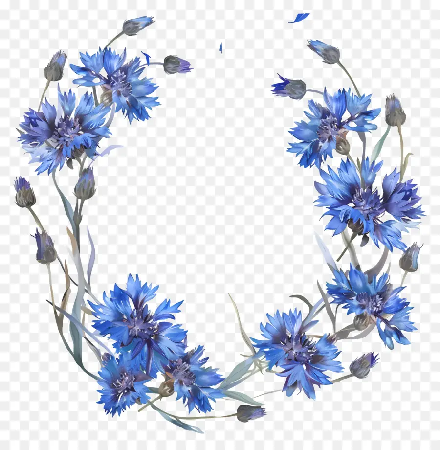 Синие кукурузные потоки，Синие полевые цветы PNG