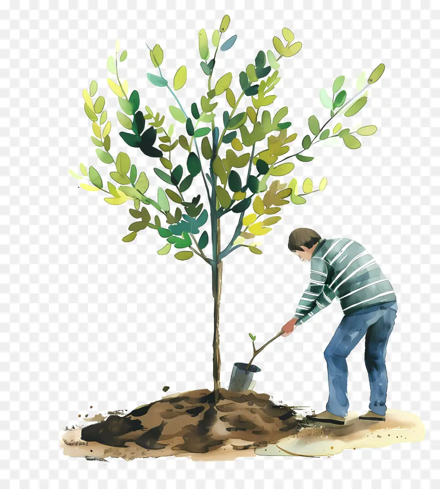 Посадка деревьев，сажать деревья PNG