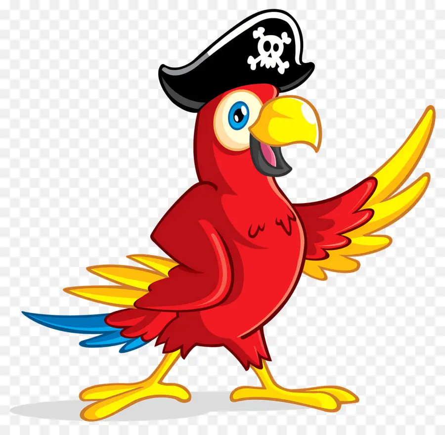 попугай пират，Попугай PNG
