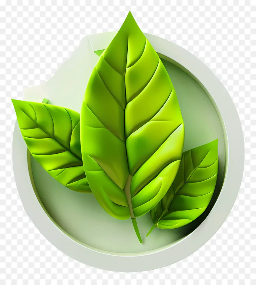 зеленый лист，бумага ремесло PNG