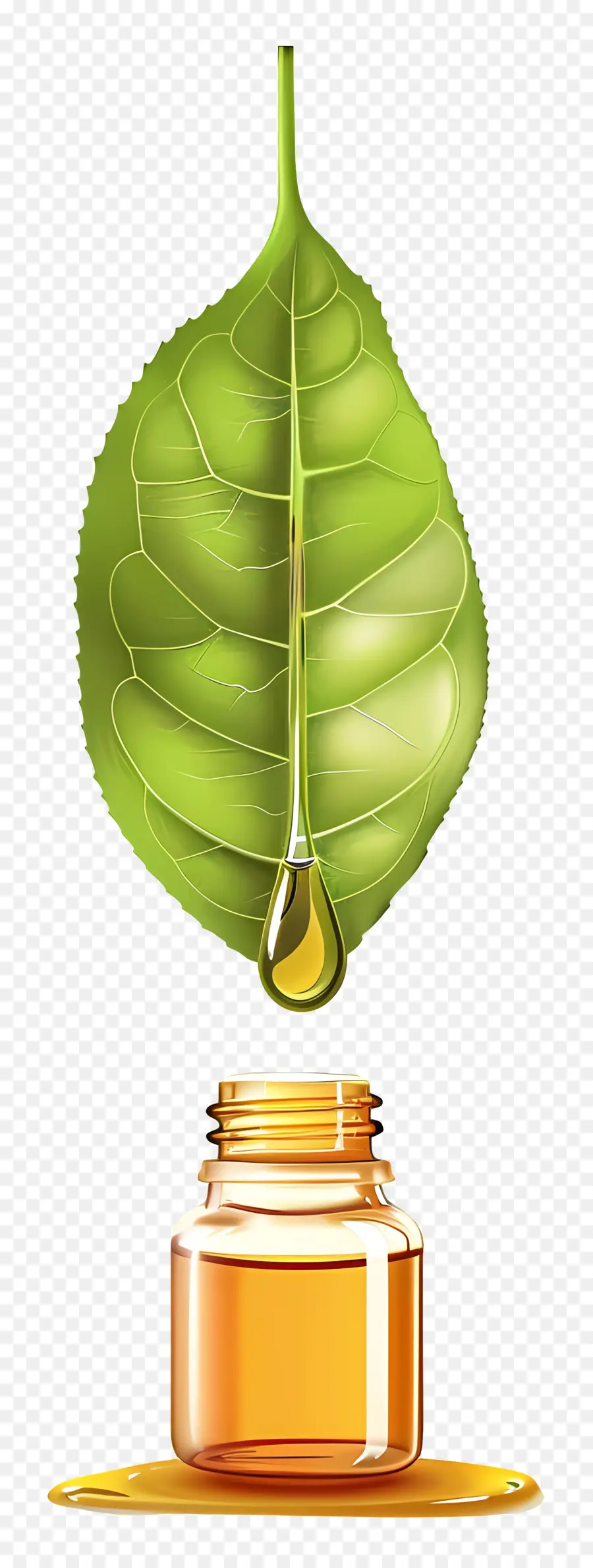 эфирное масло，зеленый лист PNG