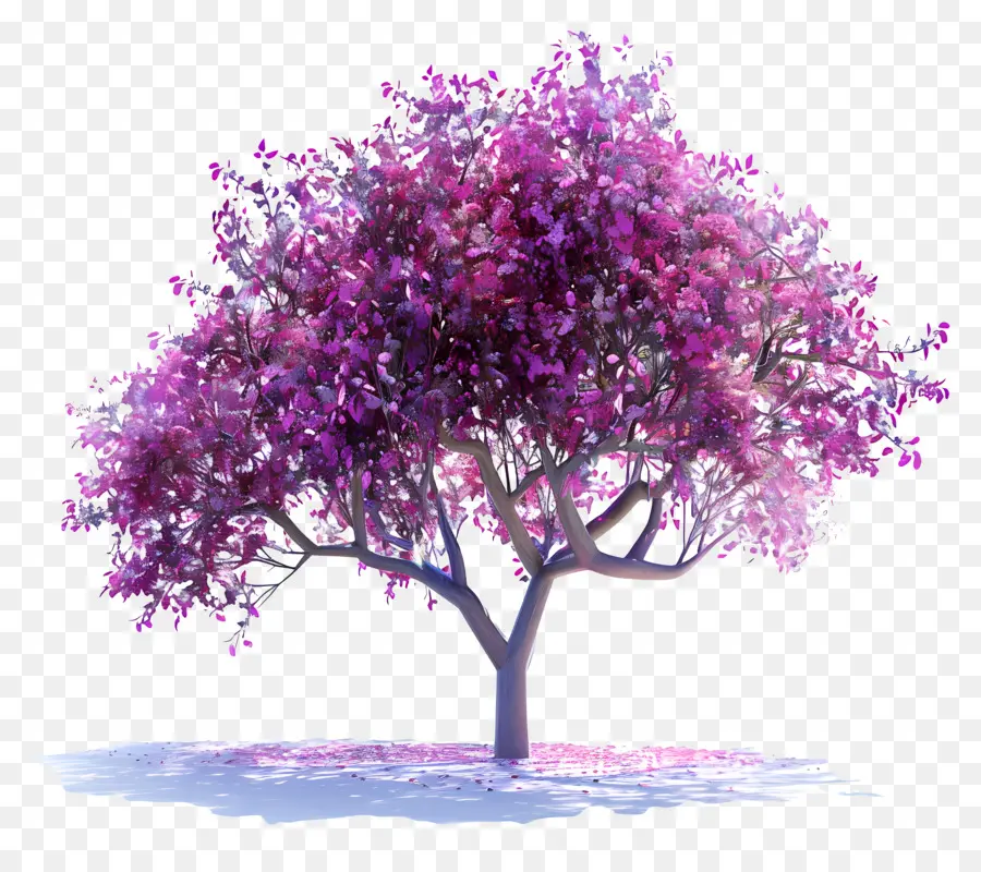 Иудино дерево，розовое дерево PNG
