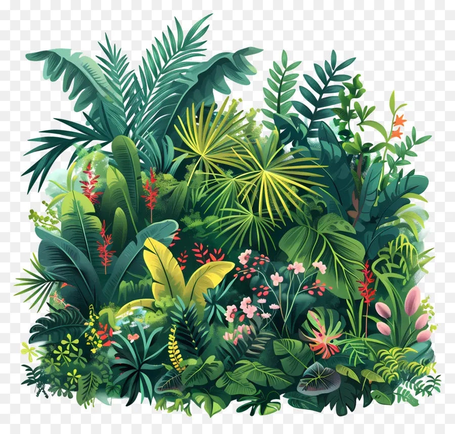 пышная растительность，джунгли PNG