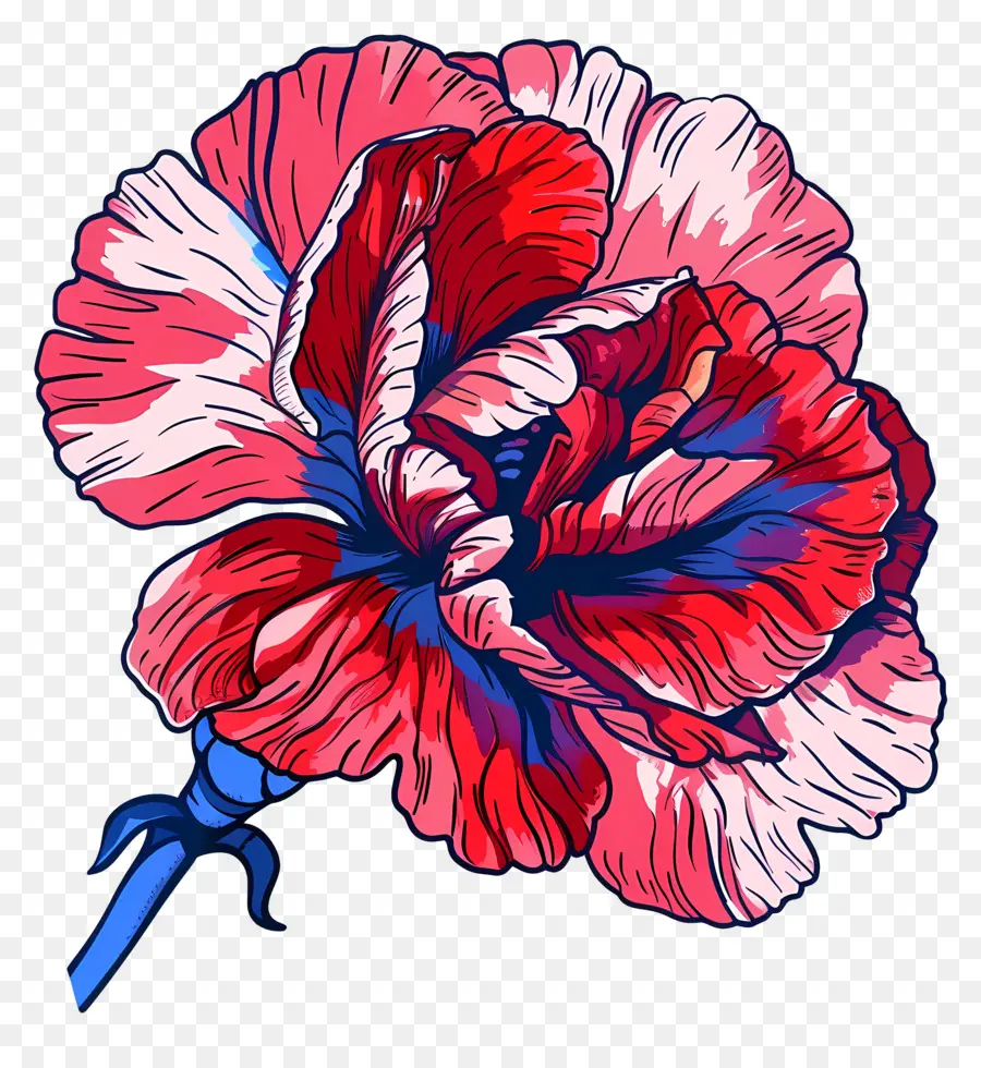 цветок гвоздика，цветочный рисунок PNG