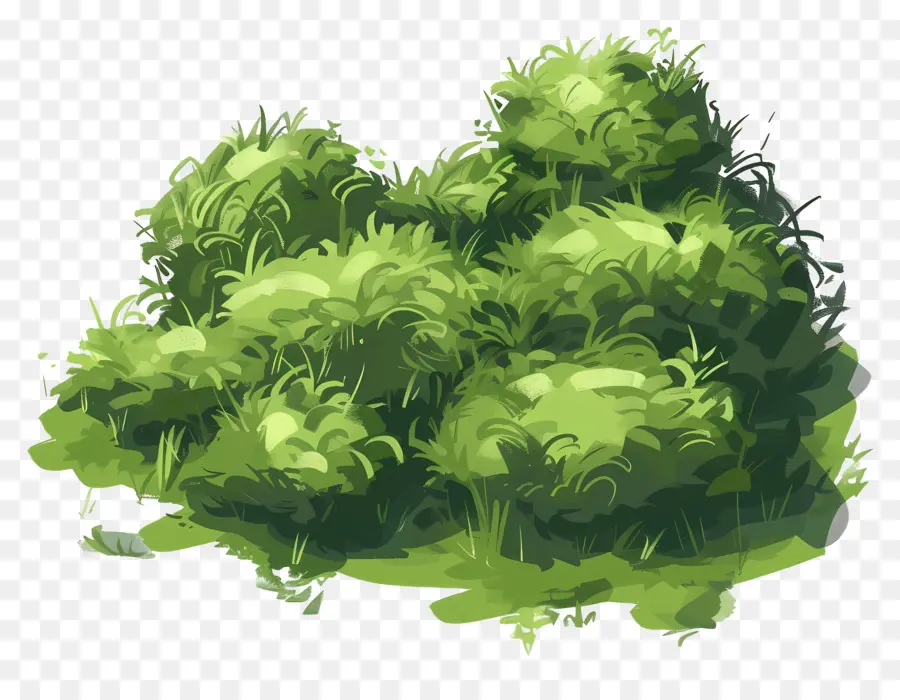 зеленый мох，пышная зеленая трава PNG