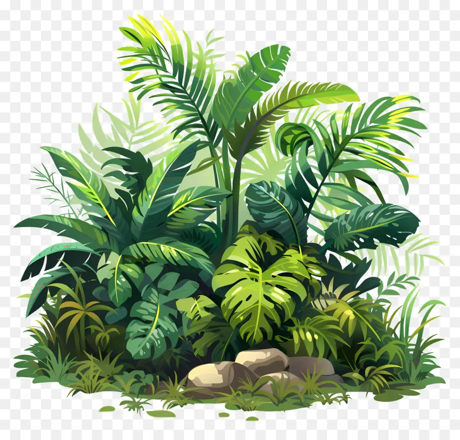 пышная растительность，джунгли PNG