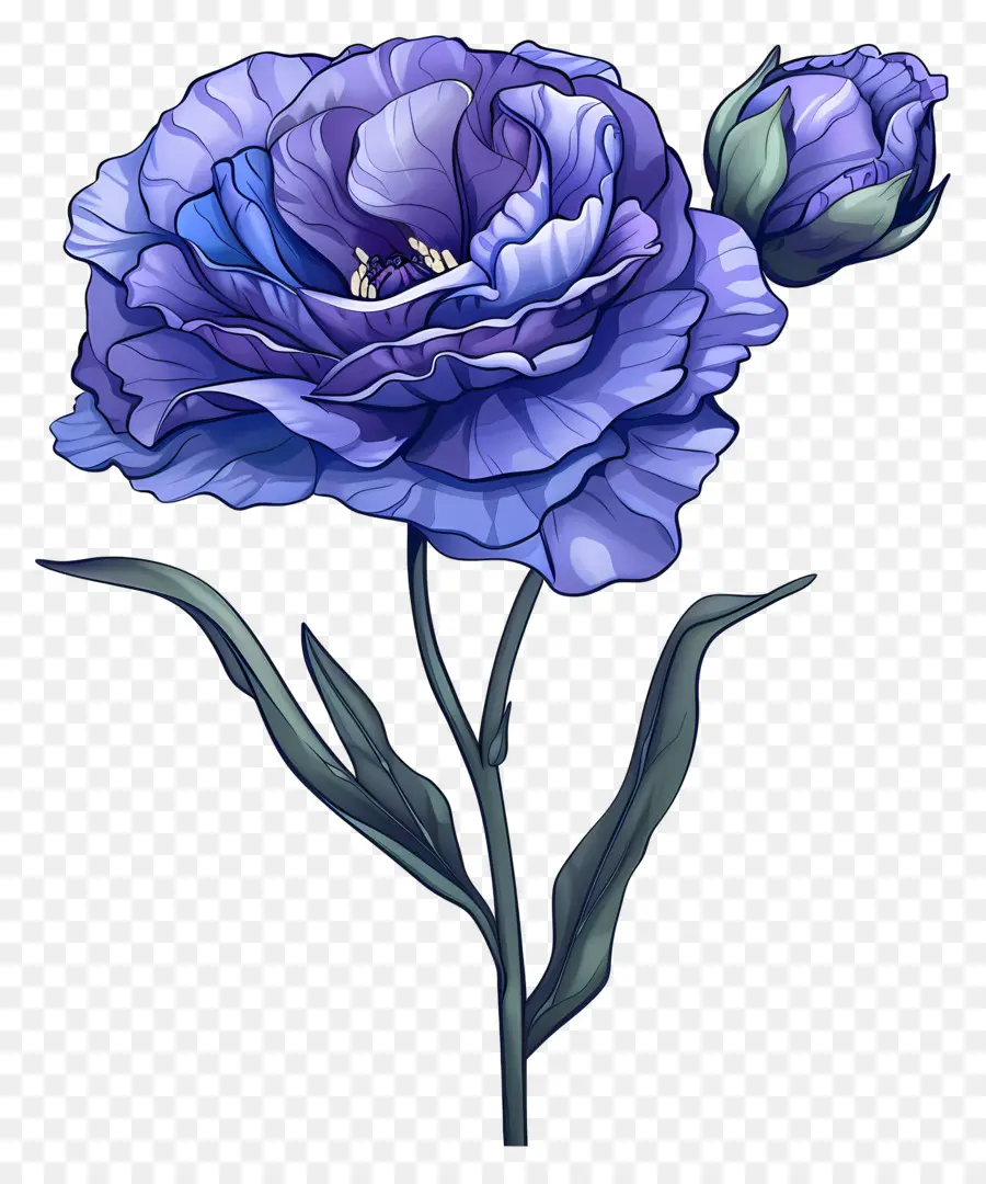 Синий лизиант цветок，Голубой цветок PNG