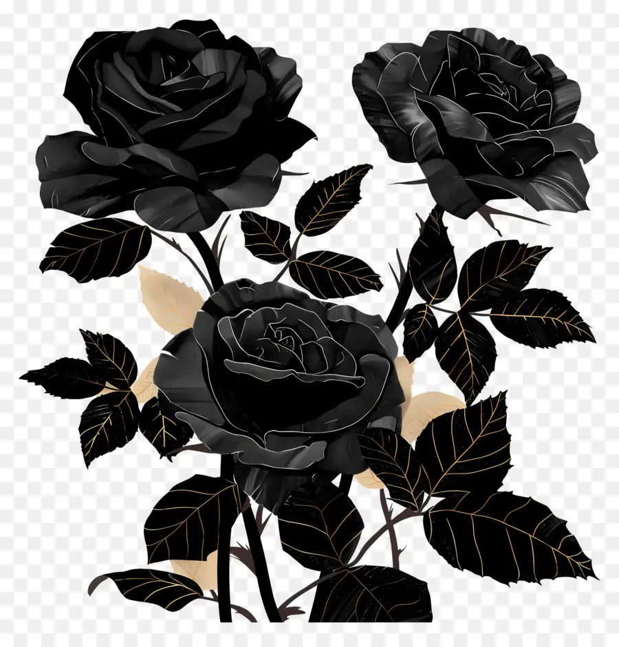 черные розы，Розы PNG