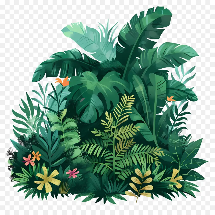 пышная растительность，тропические джунгли PNG