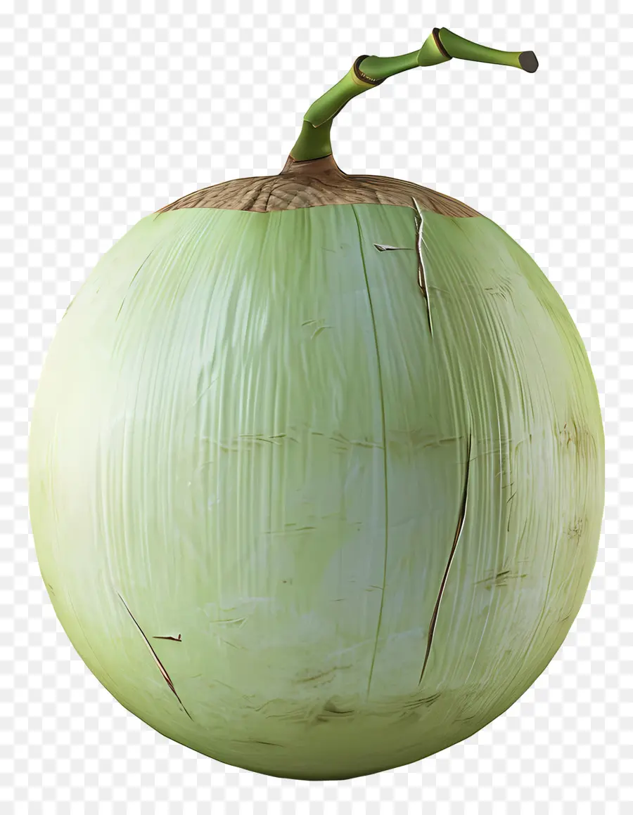 Зеленый кокос，сушеный кокос PNG
