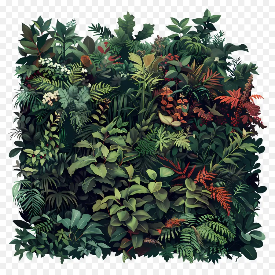 растительный покров，растения PNG