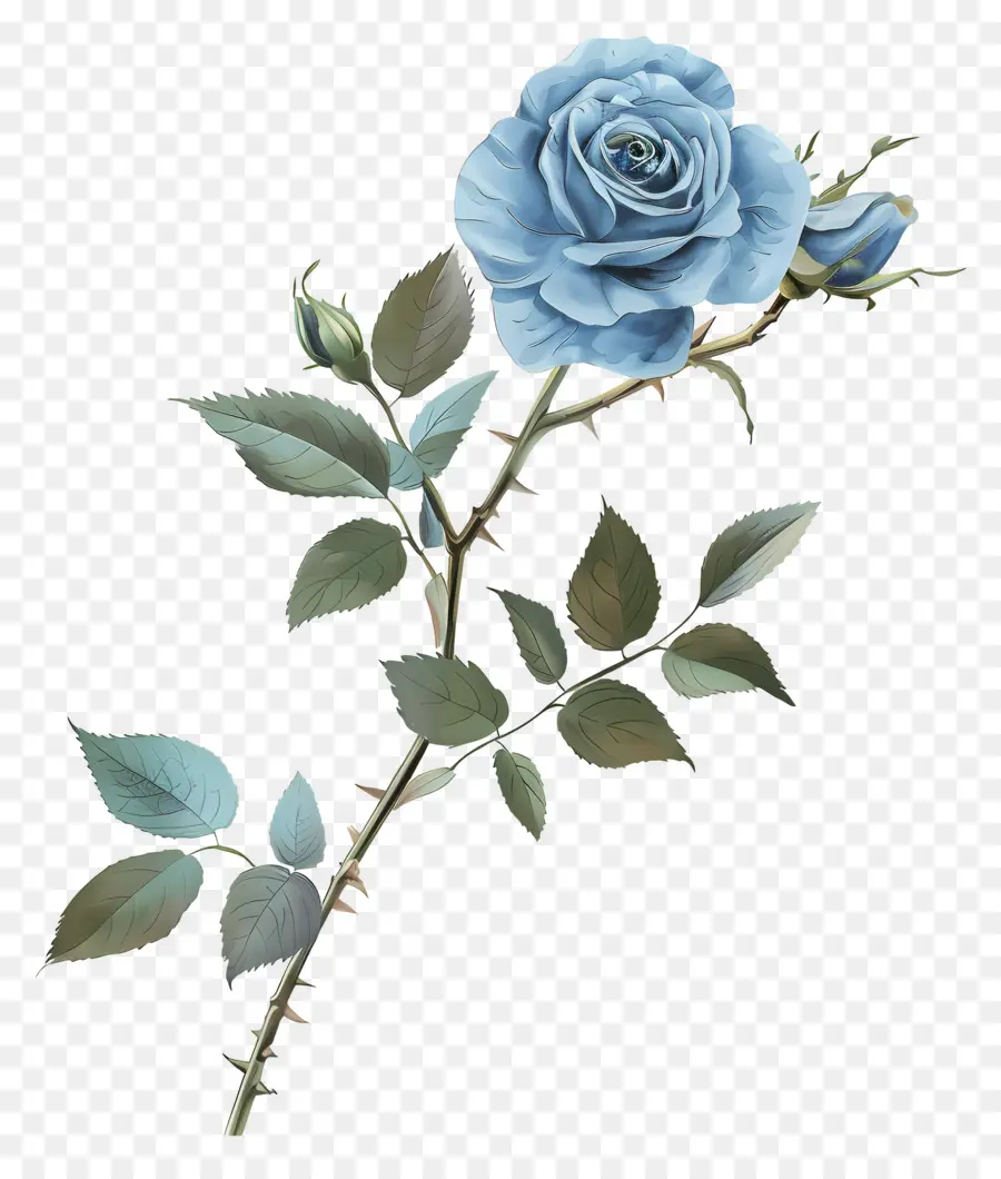 Голубая роза，зеленые листья PNG