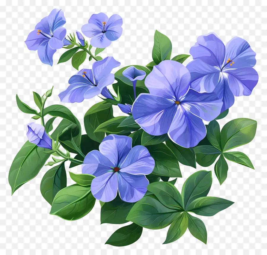 ПЕРИВИНКЛ ЦВЕТЫ，Темно синие цветы PNG