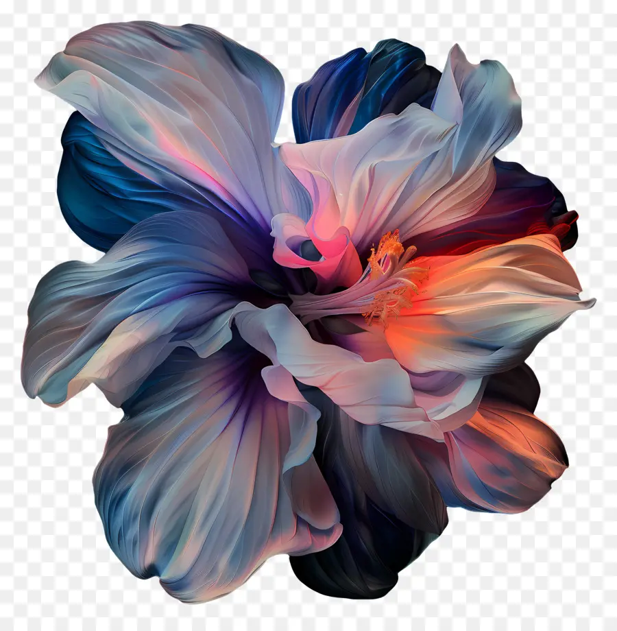 Радужность，цветок гибискуса PNG