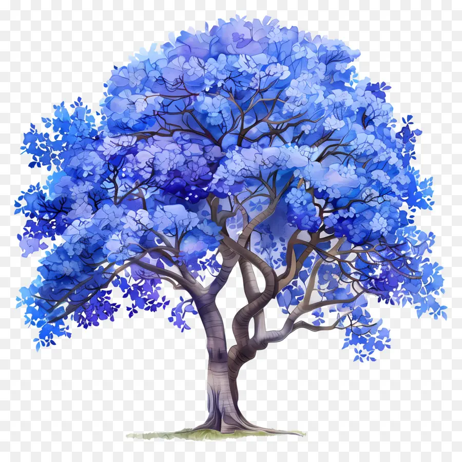 Голубое Джакаранда Дерево，синие листья PNG