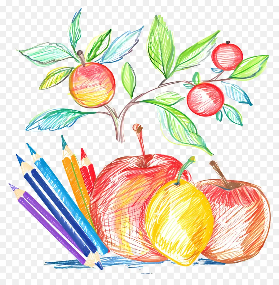 День признательности учителя，яблоня PNG