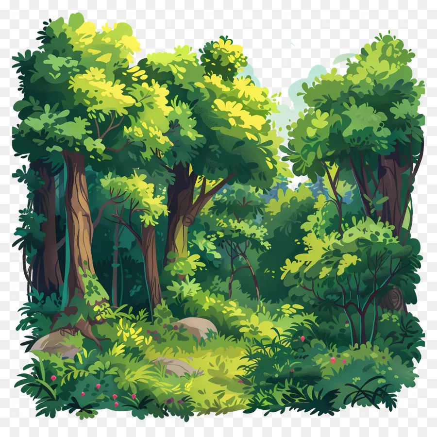 пышный лес，зеленый лес PNG