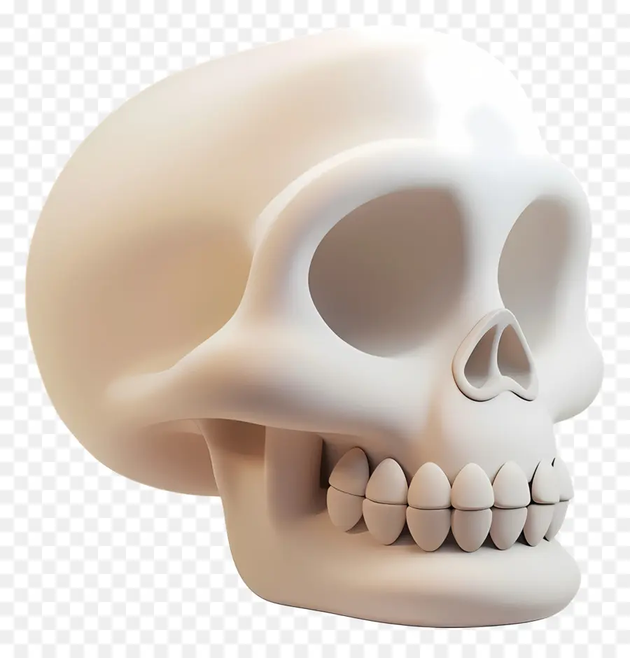 Вид на сторону черепа мультфильма，Человеческий череп PNG