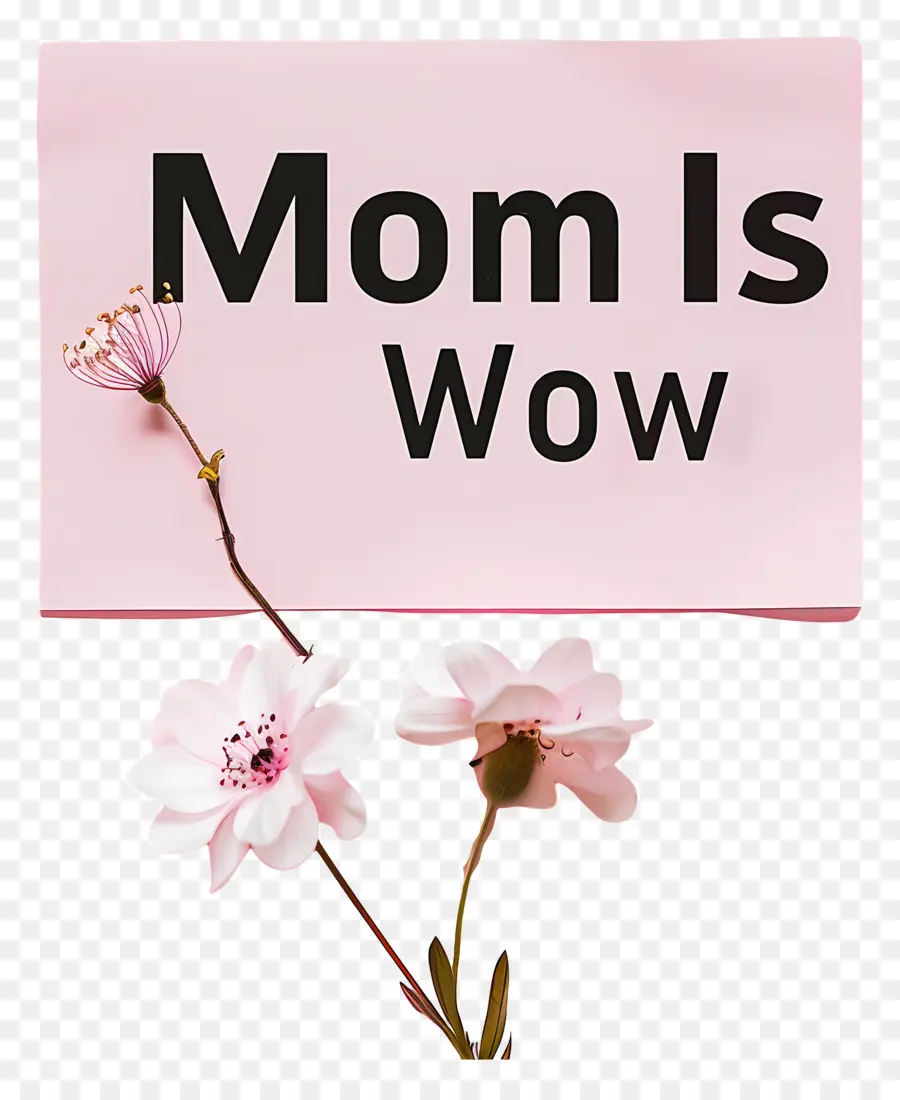 Мама вау，Mothers Day PNG
