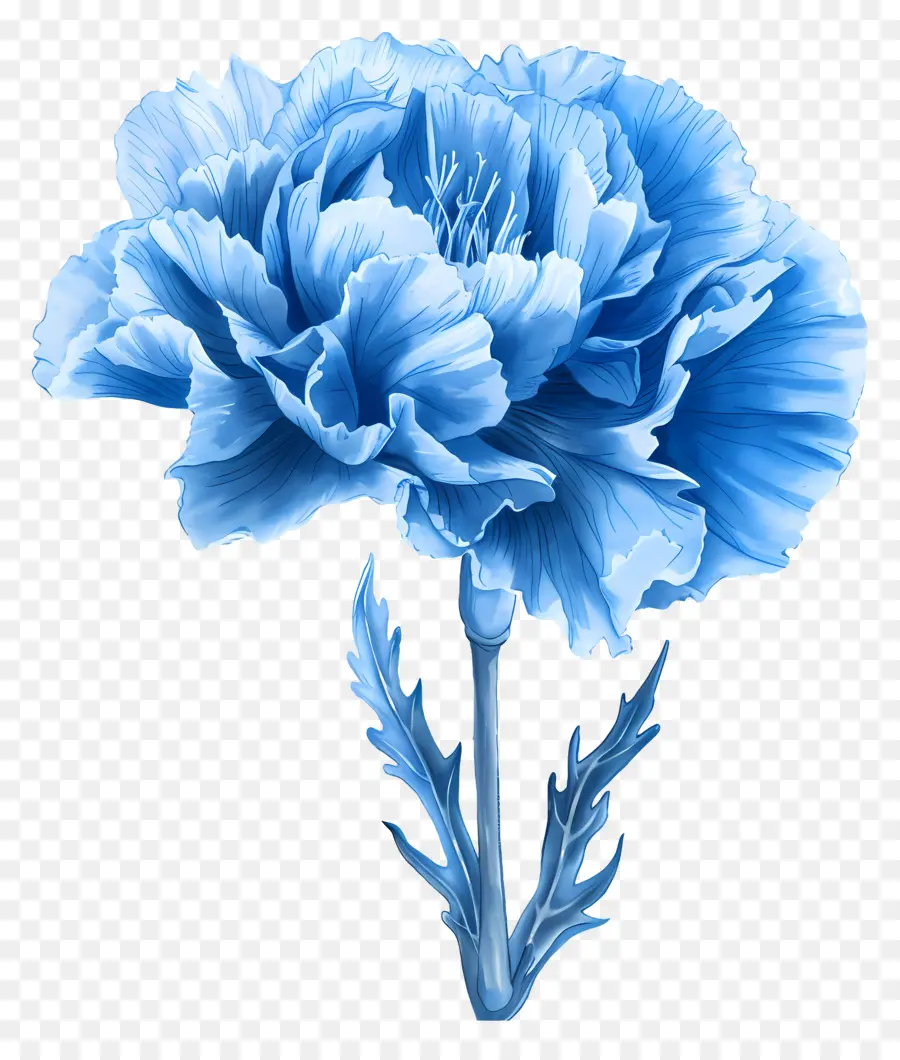 Гвоздика синяя，Голубой цветок PNG