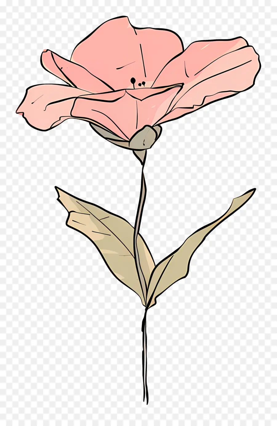 розовый цветок，цветок PNG
