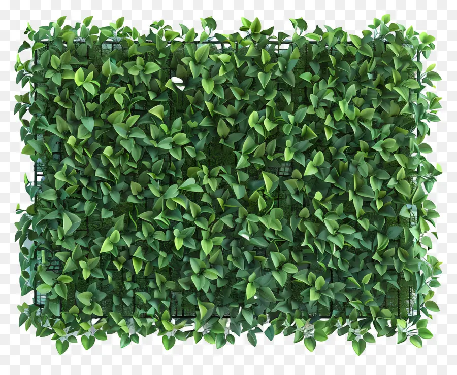 Зеленая сад стена，зеленая стена PNG