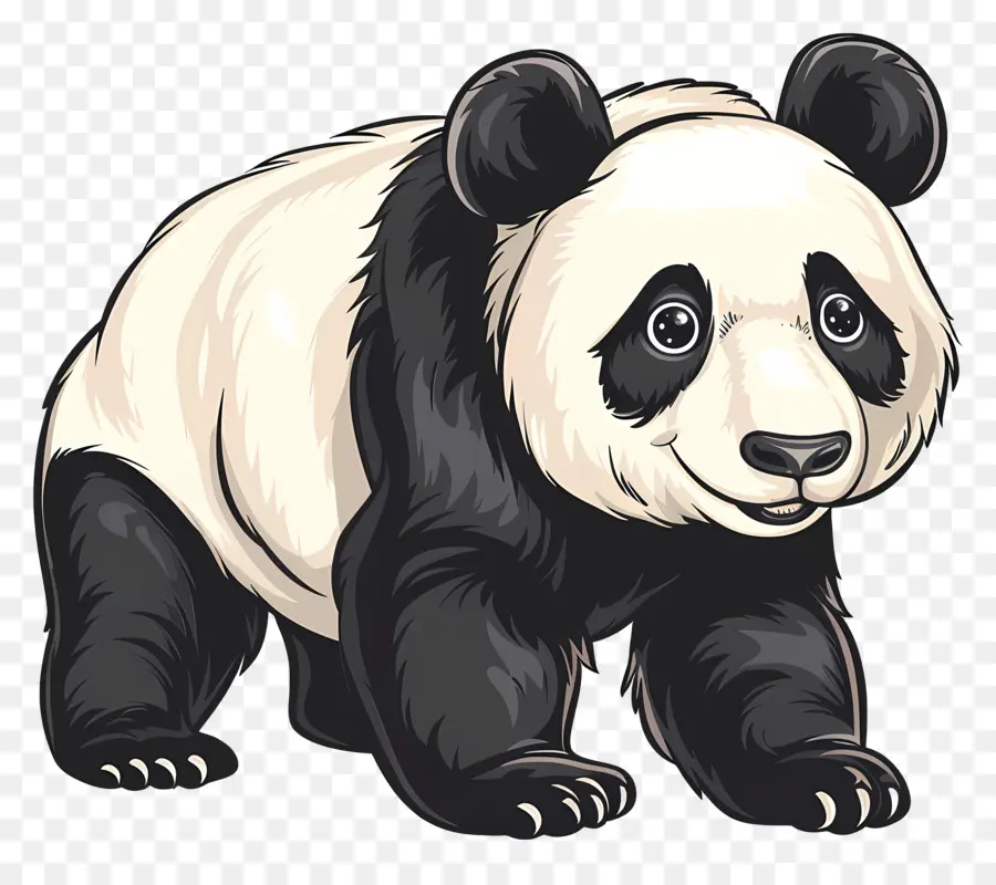 Панда，Panda Bear PNG