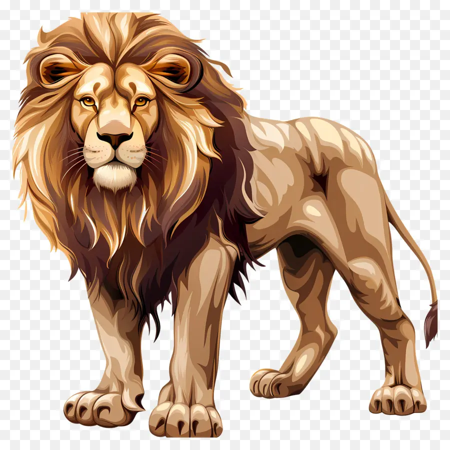 Лев，дикой природы PNG